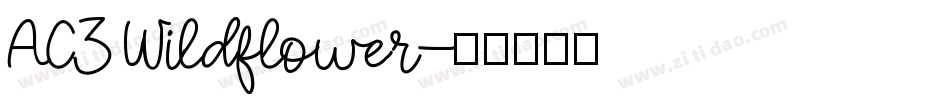 AC3 Wildflower字体转换